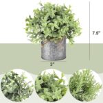 Three small artificial plants: eucalyptus, boxwood, and rosemary, each in a grey galvanized metal pot with a jute rope bow, a